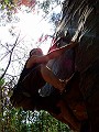 Joel Haffey
