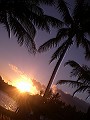 Andrea Talei Waqa