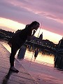 Anaëlle Viard-Crétat