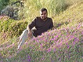 Hamed Moheisen